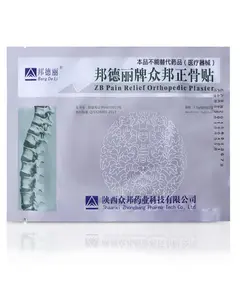 Пластырь ZB Pain Relief (шт.)