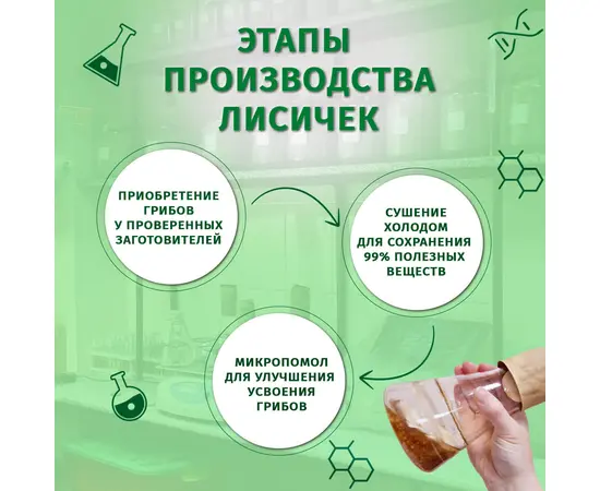 Лисички для детокса и против паразитов, пищевая добавка Sibpolza , 120 капсул, СИБИОПРО, изображение 2
