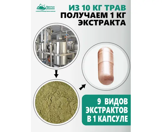 Detox Концентрат антипаразитраный сухой, 60 капсул, изображение 6