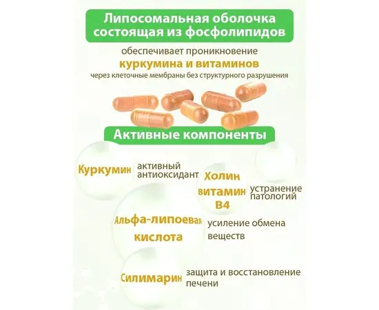 Липосомал куркумин для печени с силимарином, 60 капс., изображение 2