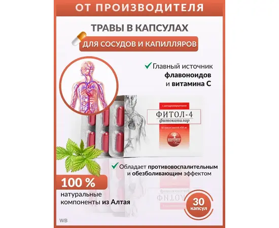 Фитосбор в капсулах Фитол-4 Фитокапилар, для профилактики и лечения тромбофлебита, 30 капс по 450 мг, изображение 2