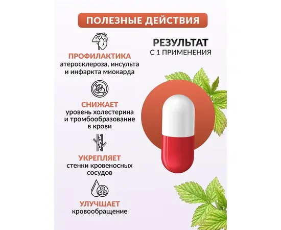 Фитосбор в капсулах Фитол-4 Фитокапилар, для профилактики и лечения тромбофлебита, 30 капс по 450 мг, изображение 3