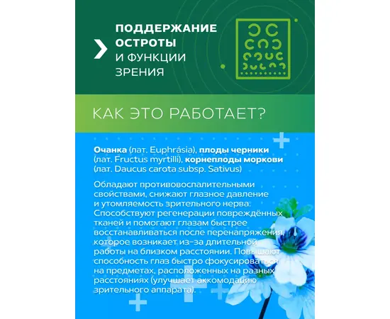 Для зрения фитокомплекс Зеленый лекарь, 60 капсул, изображение 7