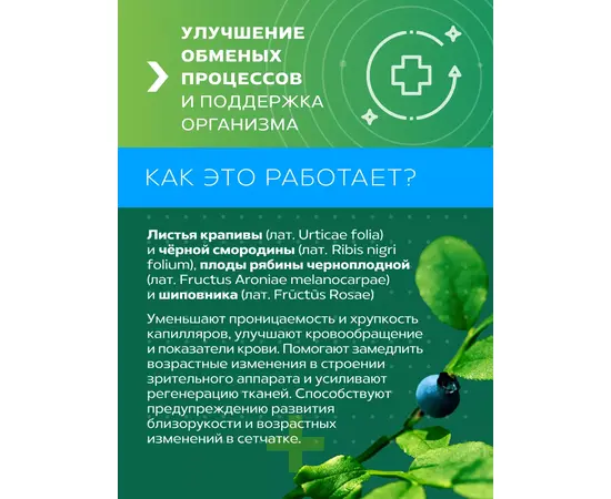 Для зрения фитокомплекс Зеленый лекарь, 60 капсул, изображение 8