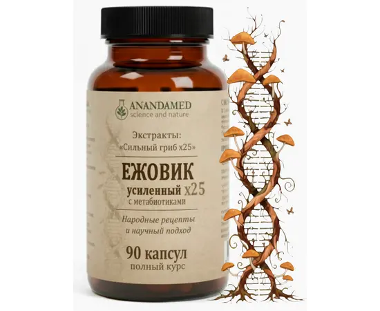 Ежовик усиленный экстракт х25, Память и Концентрация, 90 капсул, АнандаМед